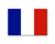 "French Flag"